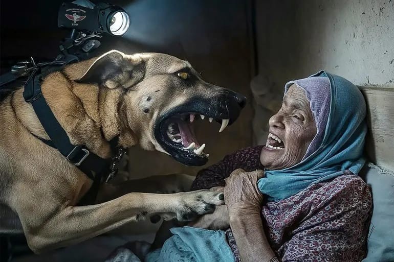 Israel unleashed a ferocious dog on a sleeping old woman
